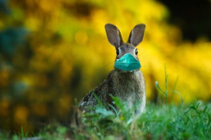 easter-4964344_1920