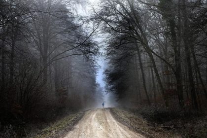 forest-jogging